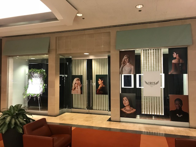 IRIS Window Graphics